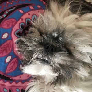 Meet your Posher, Amber